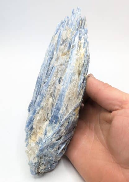 Disthène (Kyanite), Barra do Salinas, Minas Gerais, Brésil.