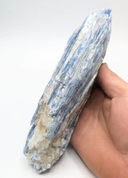 Disthène (Kyanite), Barra do Salinas, Minas Gerais, Brésil.