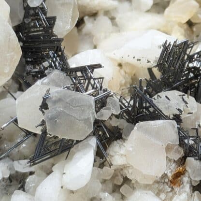 Rutile (Sagénite), Dolomite, Calcite & Quartz, Obergesteln, Valais, Suisse.