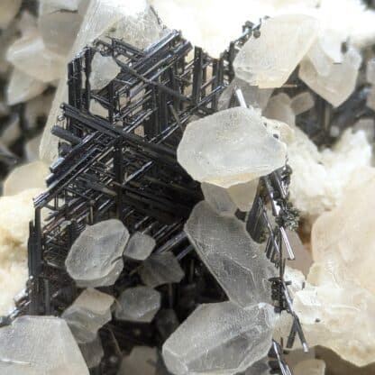 Rutile (Sagénite), Dolomite, Calcite & Quartz, Obergesteln, Valais, Suisse.