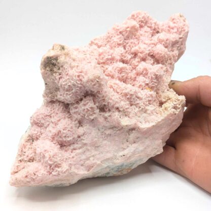 Rhodochrosite, Cavnic, Roumanie.