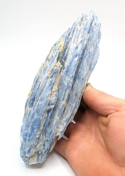 Disthène (Kyanite), Barra do Salinas, Minas Gerais, Brésil.