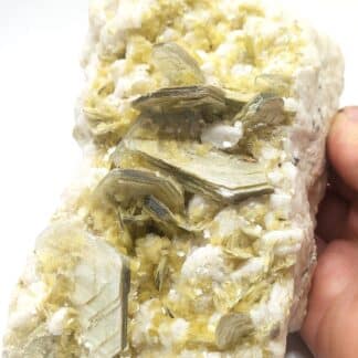 Muscovite (mica) sur Albite, Minas Gerais, Brésil.